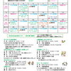 福島区子ども・子育てプラザ プラザだより8月号
