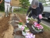 「みんなで花植え🌼色とりどりの花壇づくり【富士見・原村の福祉施設ひなたぼっこ】」