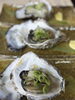 岩牡蠣　焼き「舞鶴産！濃厚クリーミーな岩牡蠣で京丹後の夏を先取り　生でも焼きでも贅沢に」