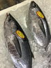「魚魚市場鮮魚コーナーおすすめは「ハガツオ」です♪」