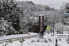 「舞鶴は昨夜から今朝にかけての雪❄で 積雪しております」