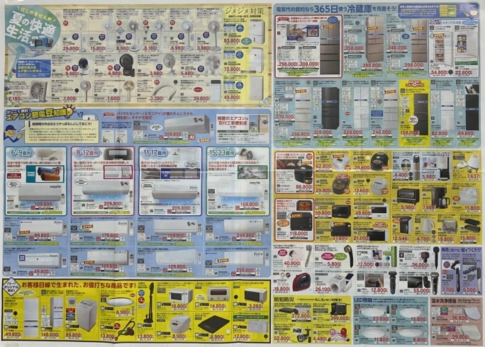 6月号販促チラシご案内「6月号販促チラシご案内」