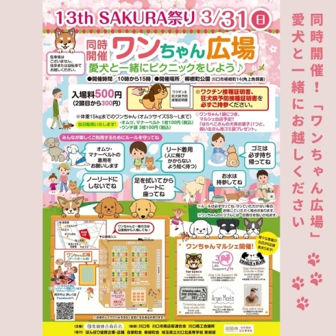 「13th SAKURA祭り【川口のイベント情報】」