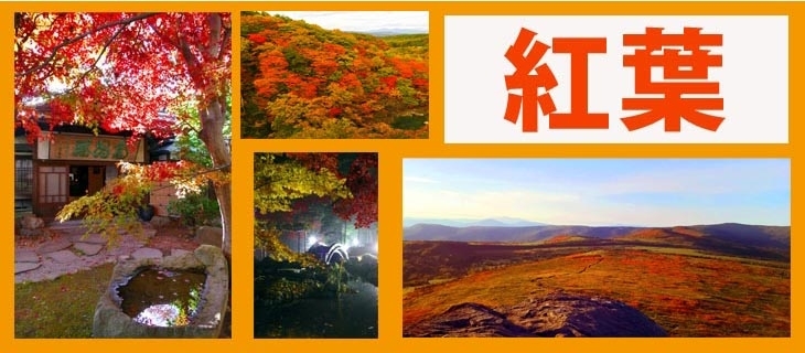岩手の紅葉特集 盛岡 滝沢 二戸 八幡平 雫石 まいぷれ 盛岡 滝沢 二戸 八幡平 雫石 岩手の紅葉特集 盛岡 滝沢 二戸 八幡平 雫石 まいぷれ 盛岡 滝沢 二戸 八幡平 雫石