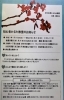 2021 小倉百人一首競技かるた初心者教室のおしらせ ちはやふるの聖地 府中 まいぷれ 府中市