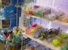 選ぶのが楽しい！水族館オリジナルグッズ「屋内ペット可、遊具あり、体験あり！週末はかすみがうら市水族館へ🐟」