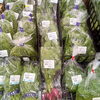 「本日より通常営業！色鮮やかなピーマンや珍しい白なす、キウイなど旬の野菜と果物が勢ぞろいしています♪」
