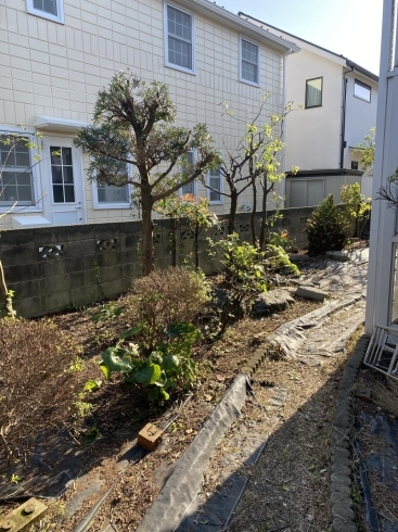 施工後「荒れたお庭もスッキリ！横浜市磯子区•金沢区。植木、造園のご相談は庭一。」