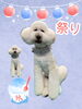 「Dog salon mofu mofu　余市町」