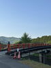緑と青空、開放感あふれる空間「藤の花をゆっくりと楽しんできました。」