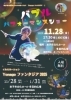 ★米子市文化ホール★「米子市の冬を彩る人気スポットが今年も点灯✨」