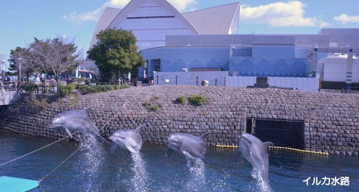 いおワールドかごしま水族館