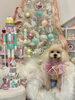 Ｓきなこちゃん「Merry Xmas 🎄」