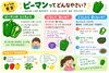 「Baseのミニ畑で、ピーマンとナスを収穫しました！」