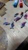 魚たちが誕生しました。「魚たちの遊ぶ水槽完成間近♥」