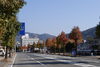 国道180号「新見市の紅葉特集2023で、紅葉さがし」