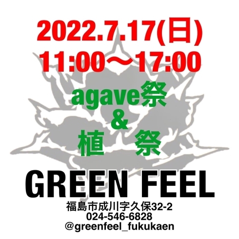 「agave祭 & 植祭  開催！【福島市　観葉植物専門店】」
