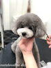 「秋のオプションキャンペーン　^ - ^」