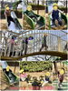 フルレの公園で滑り台を楽しみました！「笑顔いっぱい！！【交野市・小規模保育園】」