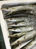 「魚魚市場鮮魚コーナーおすすめは「お魚セット」です♪」