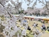 トップページ｜岡山国際交流センター Okayama International Center