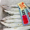 「魚魚市場鮮魚コーナーおすすめは「トビウオ・イサキ」です♪」