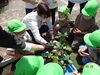 年長さんは様々な野菜にも挑戦「野菜と花の苗植え」