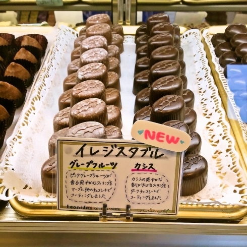 レオニダスから新商品の入荷がありました 摂津本山 岡本でオススメの洋菓子店 チョコ ケーキ 焼き菓子 レオニダス ガトーエモア レオニダス ガトーエモア 神戸岡本店のニュース まいぷれ 芦屋市