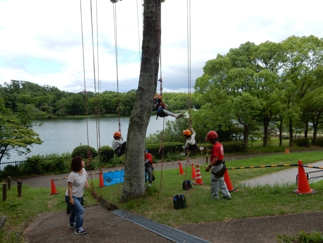 上がる練習「ツリークライミング　in  山田池公園」