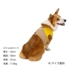 「猛暑のお散歩中も、ヒンヤリ快適に。」