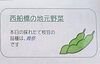 西船橋ひらの農園様の枝豆、品種は「青祭」です「９月１０日の病院給食夕ごはん（十五夜でした）」