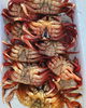 通好みの毛がに「愛くるしい魚達^_^」