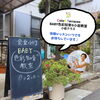 「色彩×知育　赤ちゃんと親子教室【ColoRTerrace色彩知育小岩教室　小岩クラス　野口絵理】」