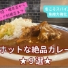 【冬こそスパイスで免疫力強化】 伏見で華麗なランチ！　カレーの店ベスト9