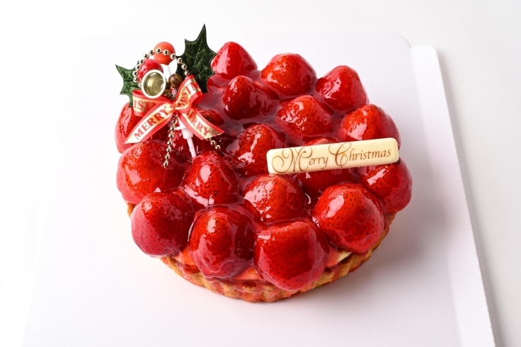 まいぷれ宮崎クリスマス プレゼントのご紹介 クリスマスケーキ まいぷれ宮崎編集部のニュース まいぷれ 宮崎 まいぷれ宮崎クリスマス プレゼントのご紹介 クリスマスケーキ まいぷれ宮崎編集部のニュース まいぷれ 宮崎