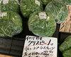 「岩牡蠣❼月中旬〜❽月販売致します」