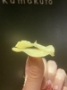 産毛も汚れもごっそり！毛穴レス(*^o^*)「♡♡♡ 今年のバレンタインにぴったりの可愛いお菓子♡♡♡見つけました♡♡♡」