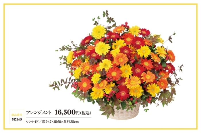 11月の誕生花 ガーベラ 花キューピットでお花じかん まいぷれ 黒部 入善 朝日 11月の誕生花 ガーベラ 花キューピットでお花じかん まいぷれ 黒部 入善 朝日