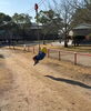「きららパーク🛝」