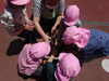 トマトの苗を植えたよ「今日の麻生幼稚園は・・・」