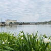 本日の水門湾（Suimon BAY）「【本日のおすすめ】芯まで味が染みた「大根煮」＆明日は手作りの「たまごサンド」が登場！」