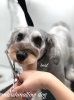 「冬のオプションキャンペーン　^ - ^」
