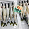 「魚魚市場鮮魚コーナーおすすめ商品は「チカメキントキ・サバ」です♪」