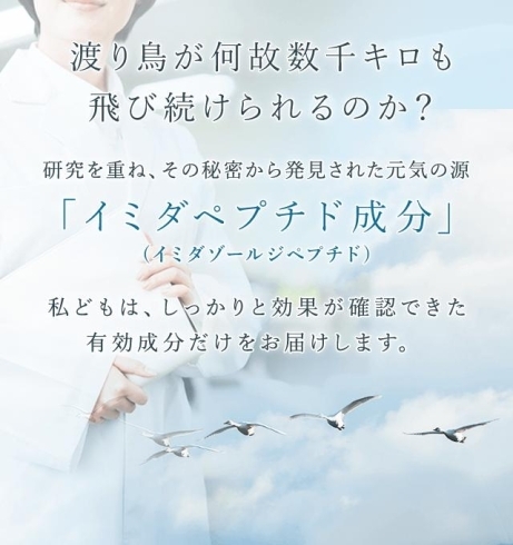 肉体的疲労だけではなく精神的疲労にも効果的「毎年恒例の「イミダペプチド・おまけ3本（780円分）付き販売会」は今月末まで！」