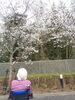 「青空の下でお花見～🌸🌸🌸」