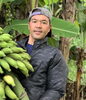 太陽と大地の恵みを感じる「沖縄県産無農薬生姜を使った新・生姜焼きプレートがスタートします」