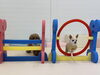 米ちゃんジャンプ💨　眺める綺羅くん😆「ましゅまろ幼稚園🐾」
