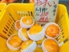 「甘い旬の柿が入荷しています！【お肉・野菜・果物は清武町の黒木商店で♪】」