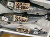 「本日入荷しました」