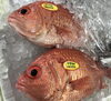 「魚魚市場鮮魚コーナーおすすめは「メジマグロ・エビスダイ」です♪」